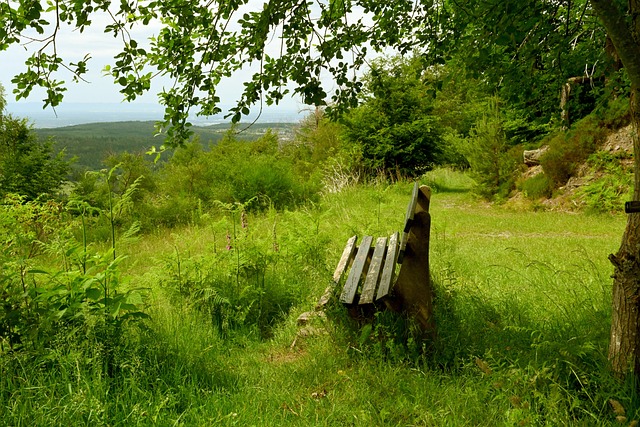 更是东西方 更是东西方