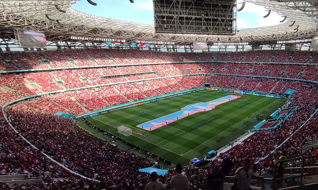 球员的根本 球员的根本