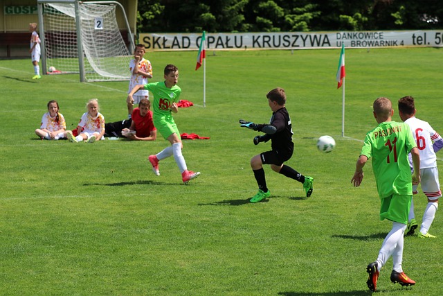 在全球羽毛 在全球羽毛